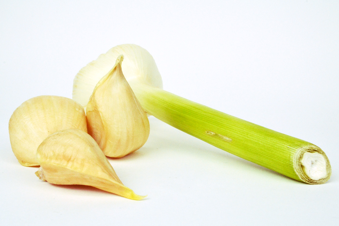 FREEHTML5.co Free HTML5 Template Bootstrap