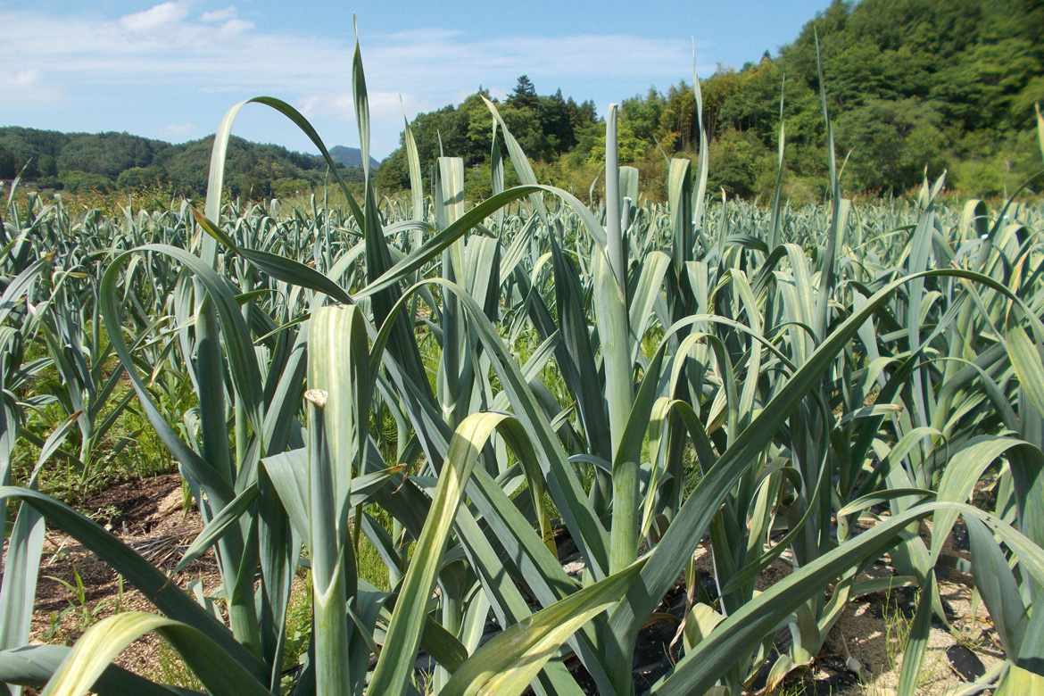 FREEHTML5.co Free HTML5 Template Bootstrap